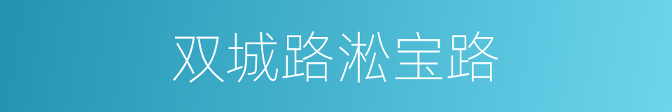 双城路淞宝路的同义词