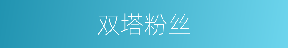 双塔粉丝的同义词