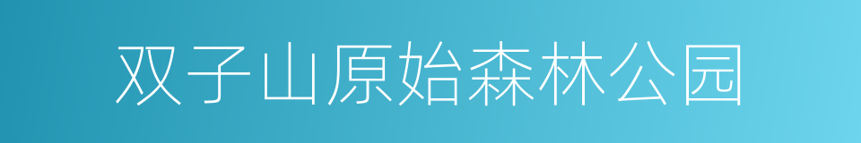 双子山原始森林公园的同义词