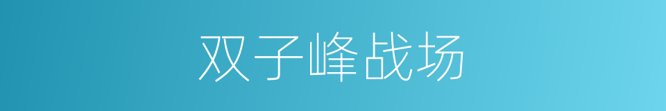 双子峰战场的同义词
