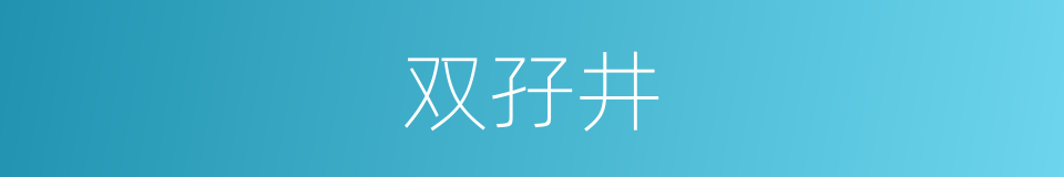 双孖井的同义词