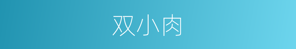 双小肉的同义词