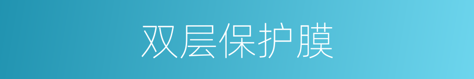 双层保护膜的同义词
