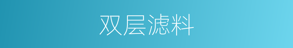 双层滤料的同义词