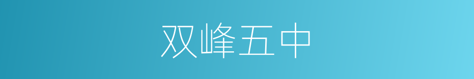 双峰五中的同义词