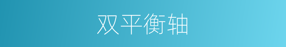 双平衡轴的同义词