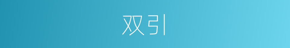 双引的意思