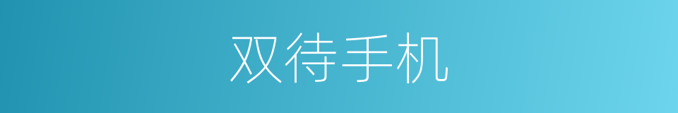双待手机的同义词