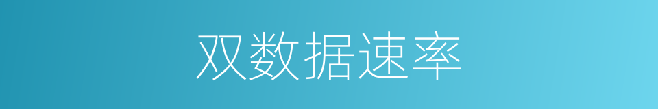 双数据速率的同义词