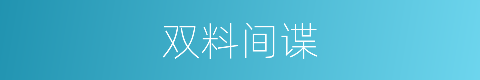 双料间谍的同义词