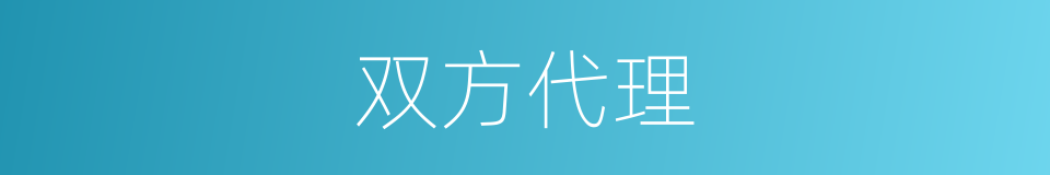 双方代理的同义词