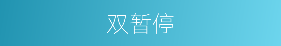 双暂停的同义词