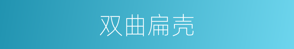 双曲扁壳的同义词