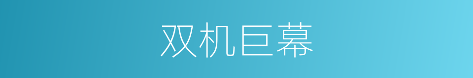 双机巨幕的同义词