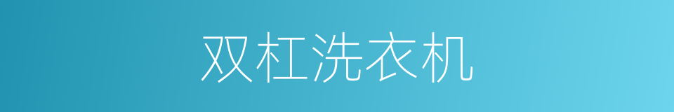 双杠洗衣机的同义词