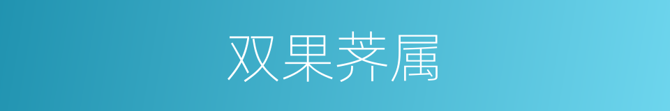 双果荠属的同义词