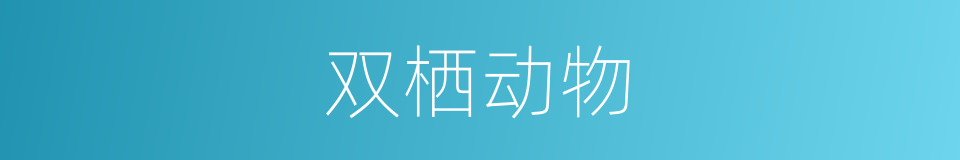 双栖动物的同义词