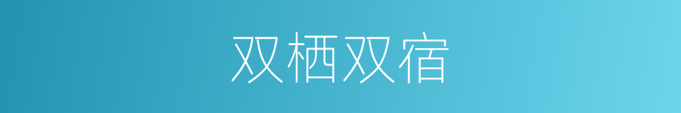 双栖双宿的意思