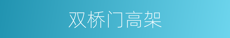 双桥门高架的同义词