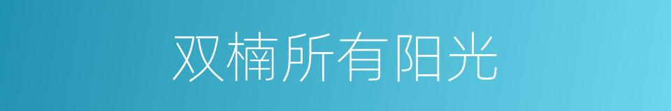 双楠所有阳光的同义词