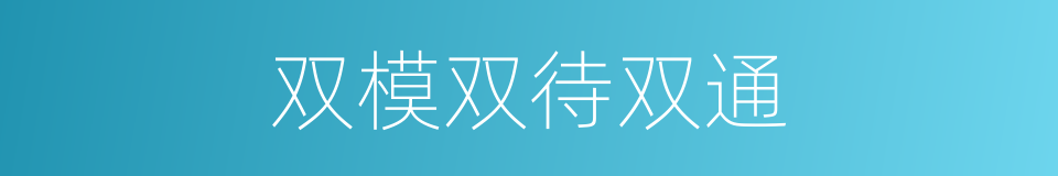 双模双待双通的同义词