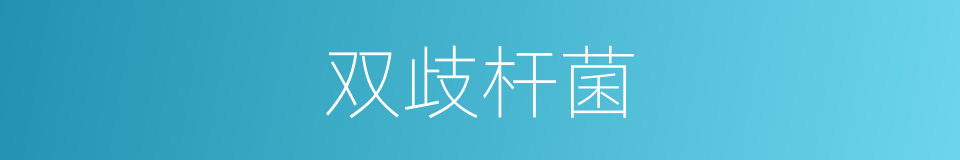 双歧杆菌的同义词