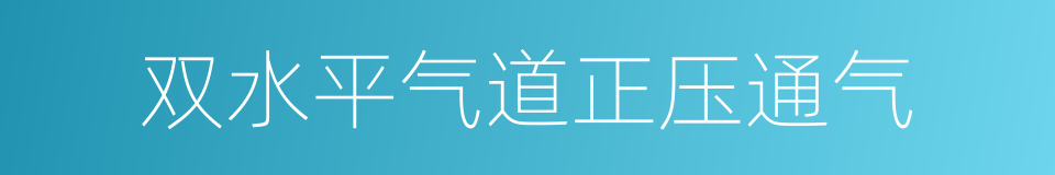 双水平气道正压通气的同义词