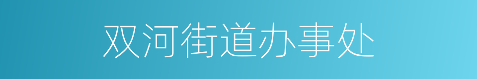 双河街道办事处的同义词