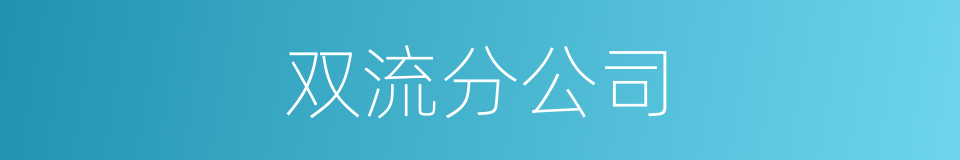 双流分公司的同义词