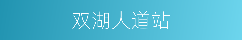 双湖大道站的同义词