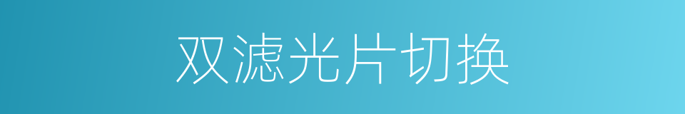 双滤光片切换的同义词