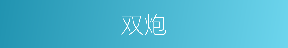 双炮的同义词