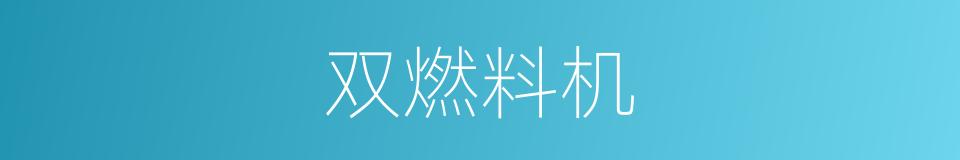 双燃料机的同义词
