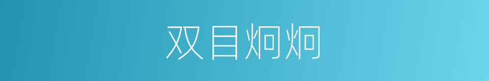 双目炯炯的同义词