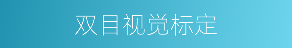 双目视觉标定的同义词