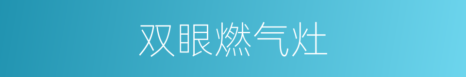 双眼燃气灶的同义词