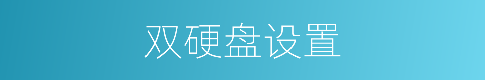 双硬盘设置的同义词