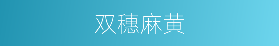 双穗麻黄的同义词