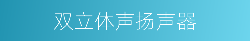 双立体声扬声器的同义词