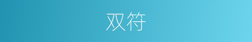 双符的意思
