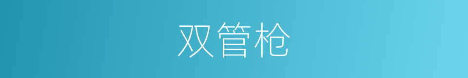 双管枪的同义词