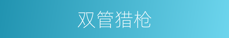 双管猎枪的同义词