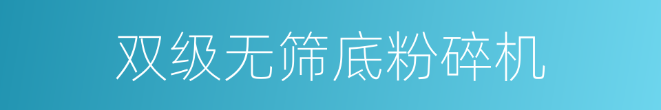 双级无筛底粉碎机的同义词