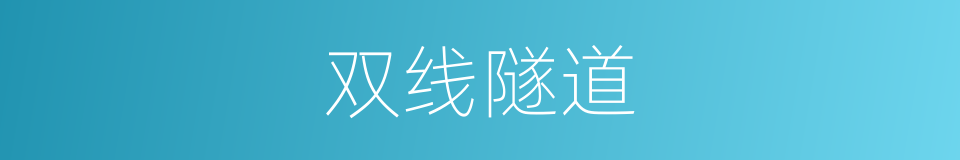 双线隧道的同义词