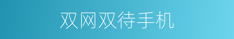 双网双待手机的同义词