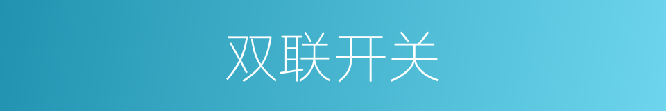 双联开关的同义词