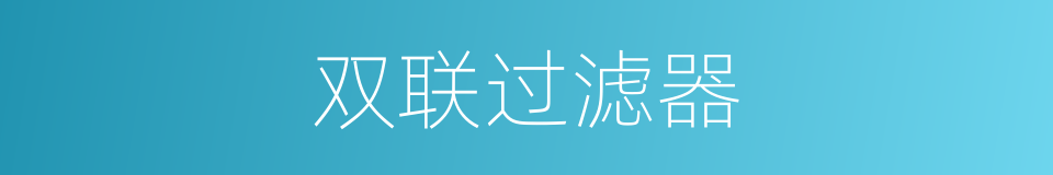 双联过滤器的同义词
