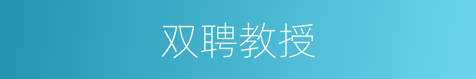 双聘教授的同义词