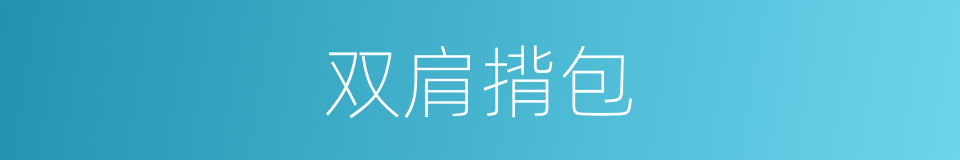 双肩揹包的同义词