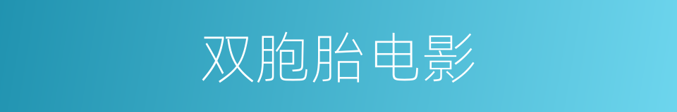 双胞胎电影的同义词